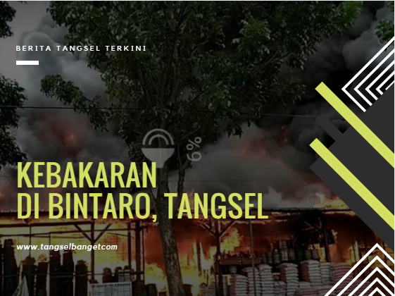  Toko  Bunga  di  Bintaro  Habis di  Lahap Api Berita Tangsel 